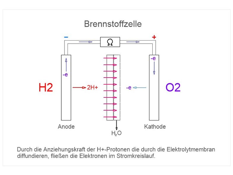 B-Zelle-.jpg